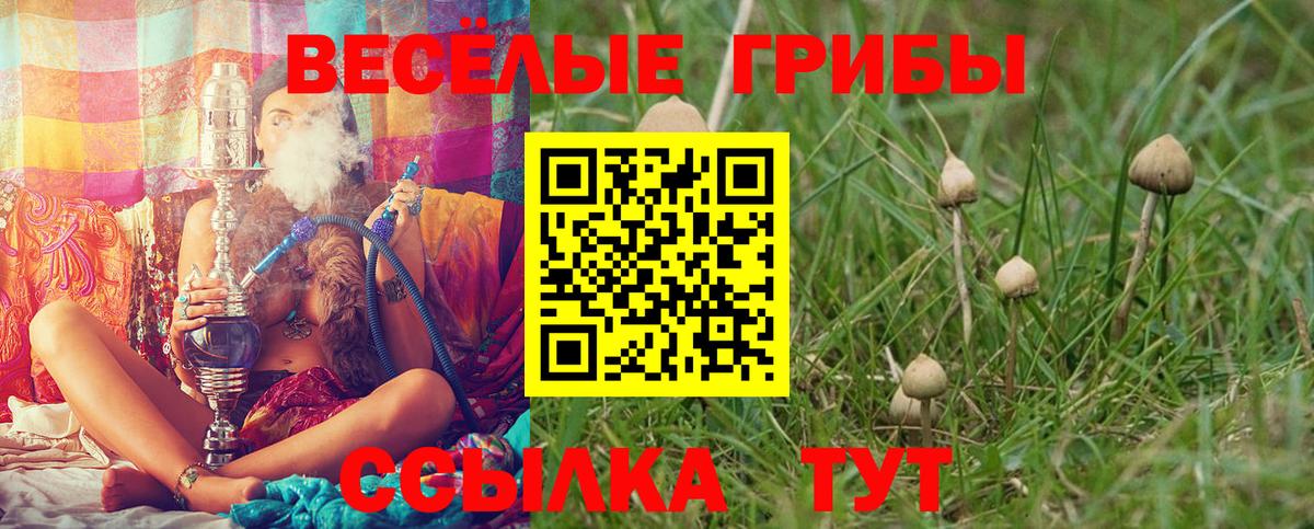 Воскресенск  Псилоцибиновые грибы Magic Shrooms  Вход с VPN  Галлюциногенные грибы мицелий 