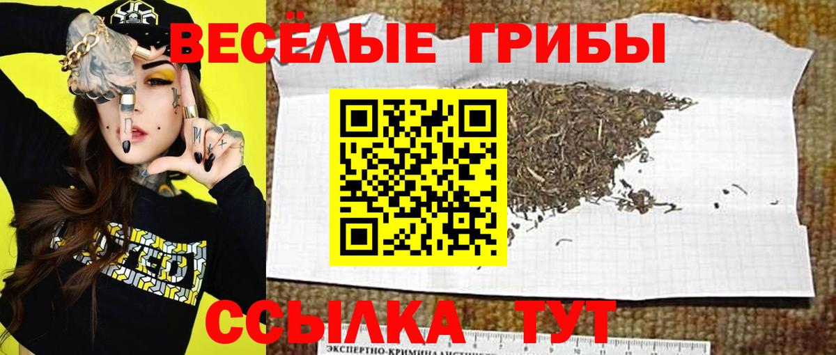 Галлюциногенные грибы ЛСД Воскресенск